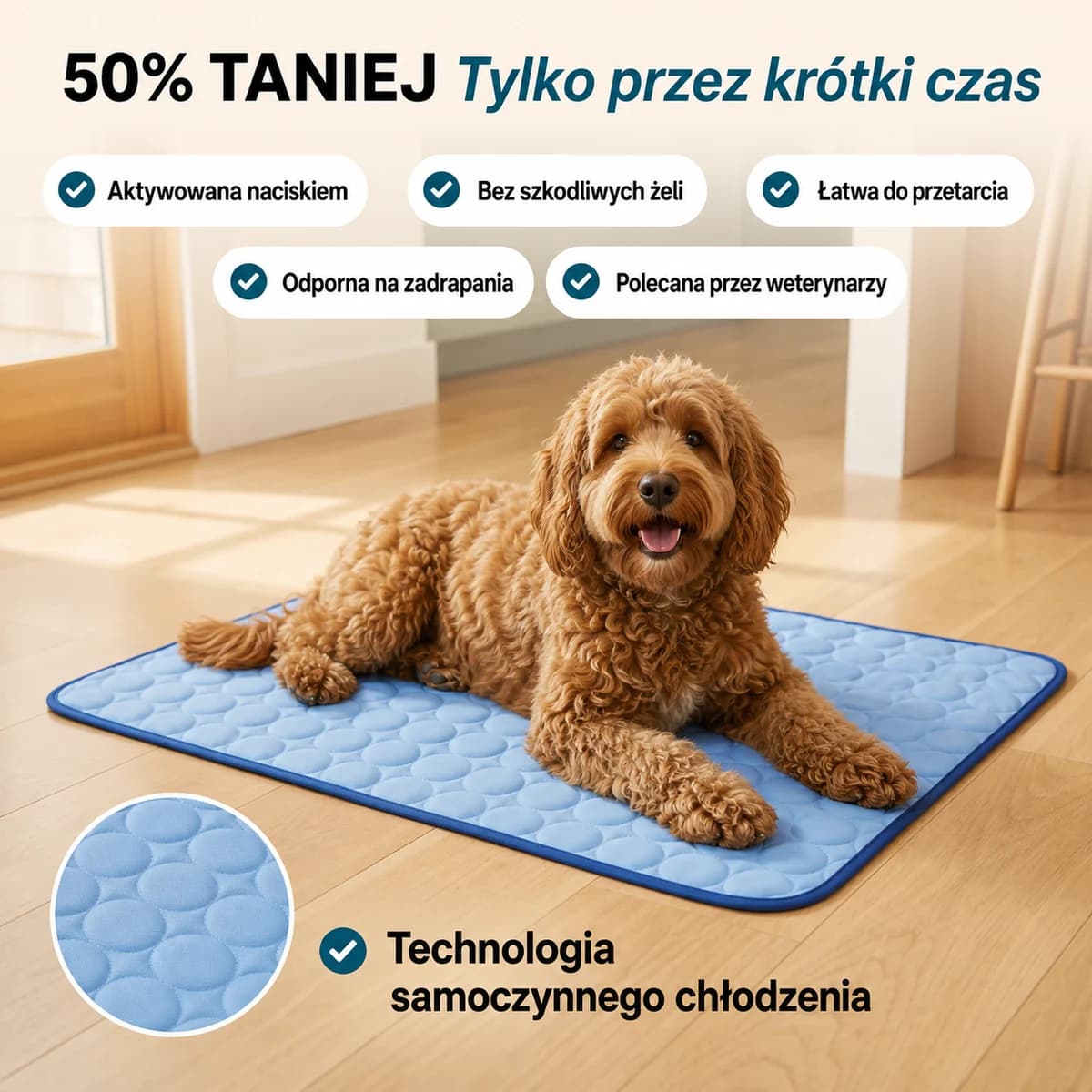 CoolMat - pies na macie chłodzącej z promocją i listą korzyści