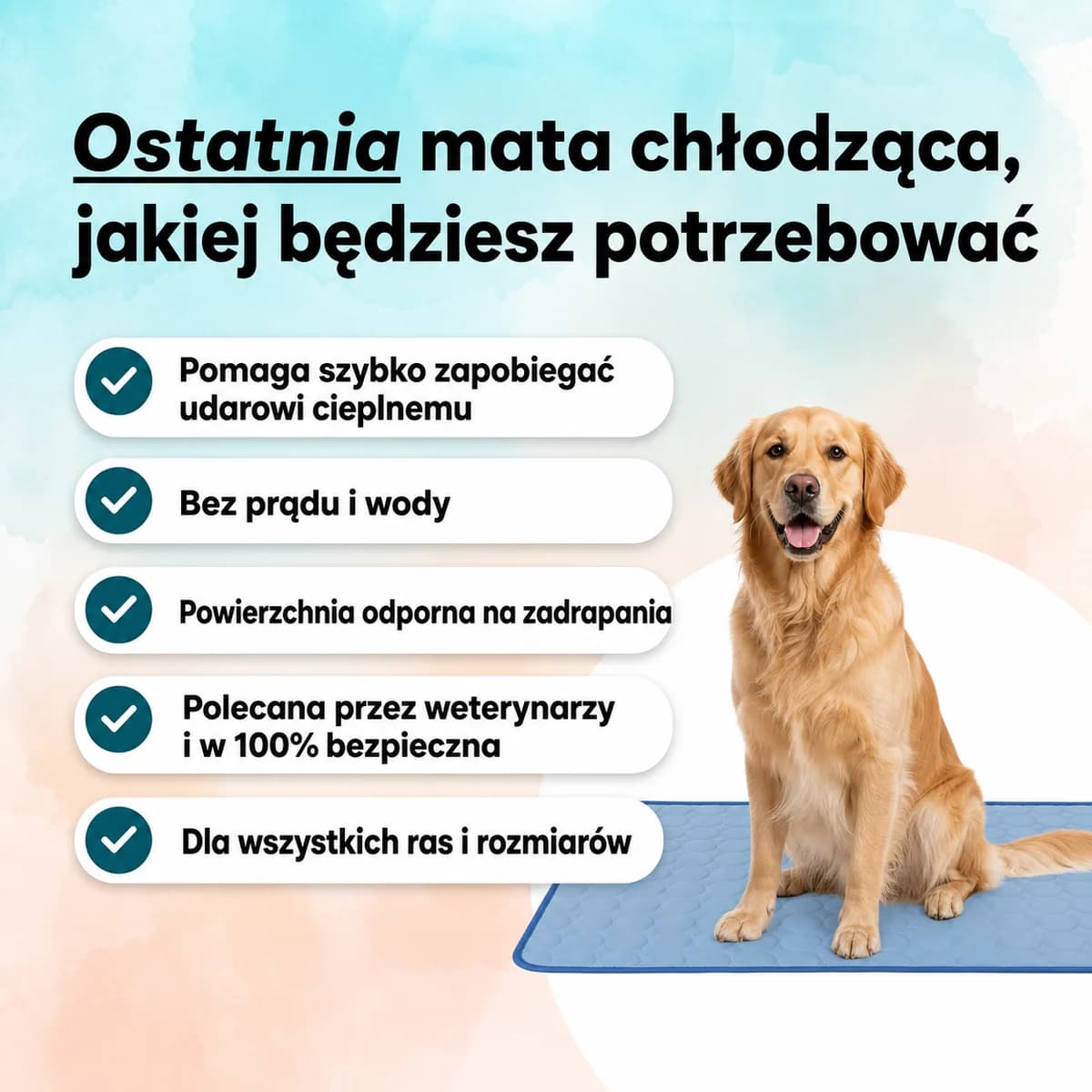 CoolMat - rekomendacja weterynarza i pies odpoczywający na macie