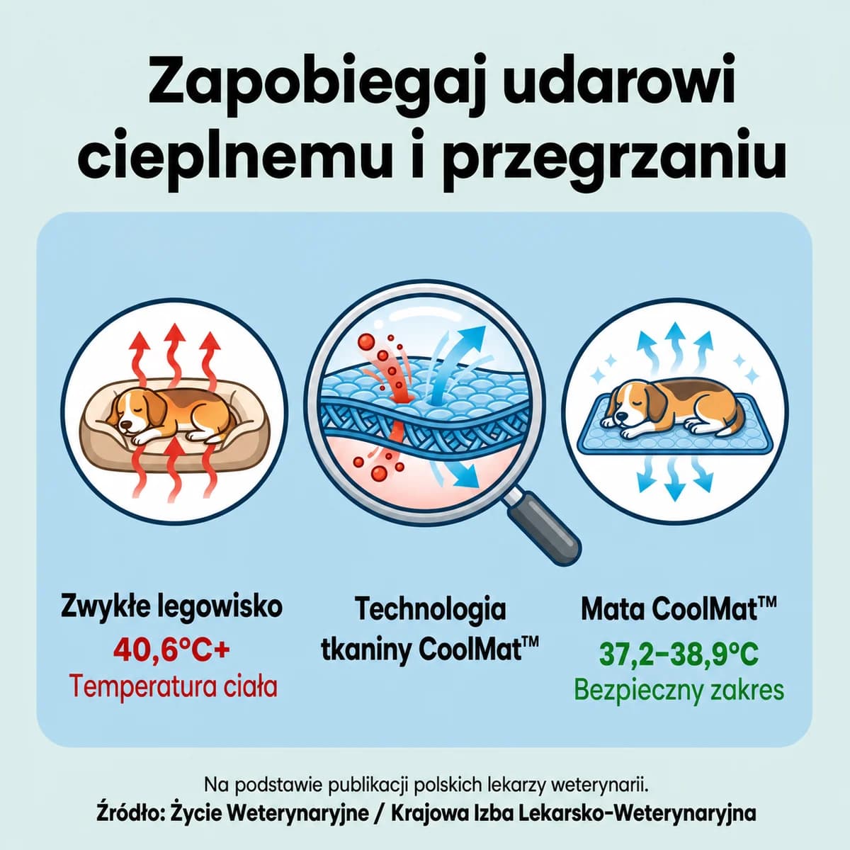 CoolMat - porównanie temperatury zwykłego legowiska i maty CoolMat