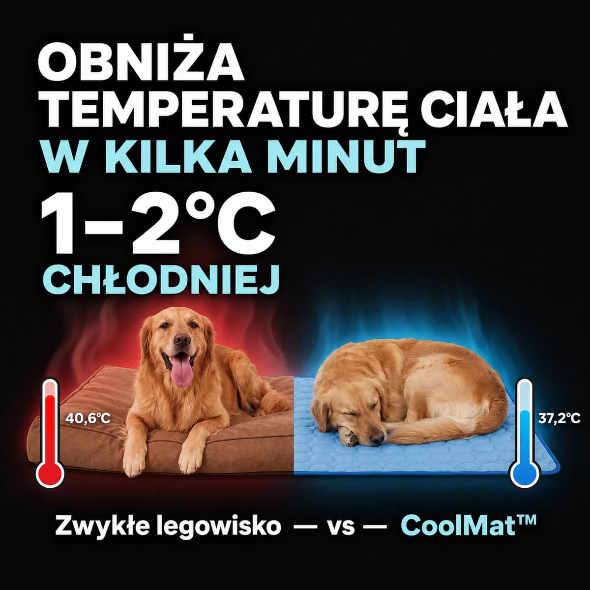 CoolMat - lista korzyści maty chłodzącej dla psa